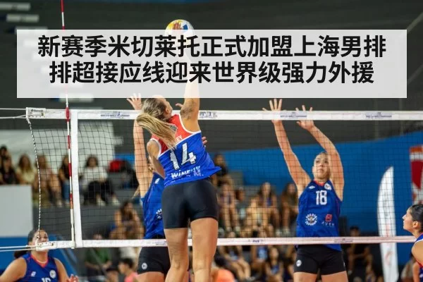 新赛季米切莱托正式加盟上海男排 排超接应线迎来世界级强力外援